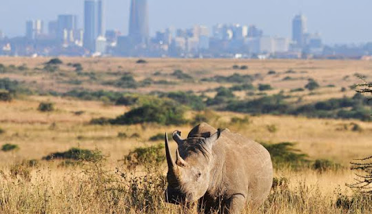 Kenya